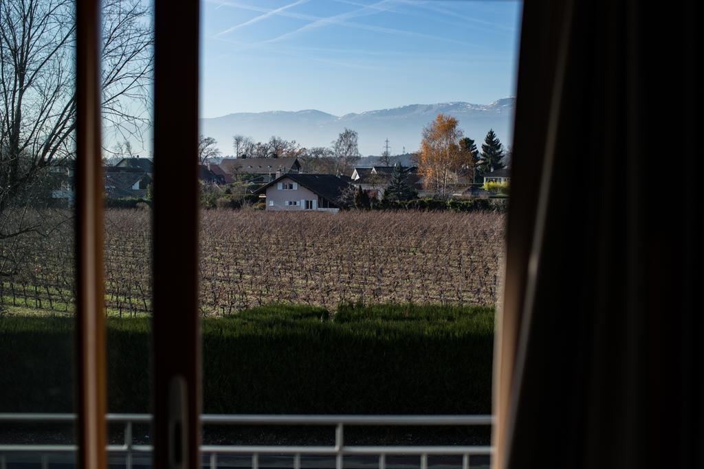Motel Le Leman Commugny Bagian luar foto